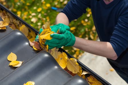 Benefits Of Regular Gutter Cleaning For Your Home